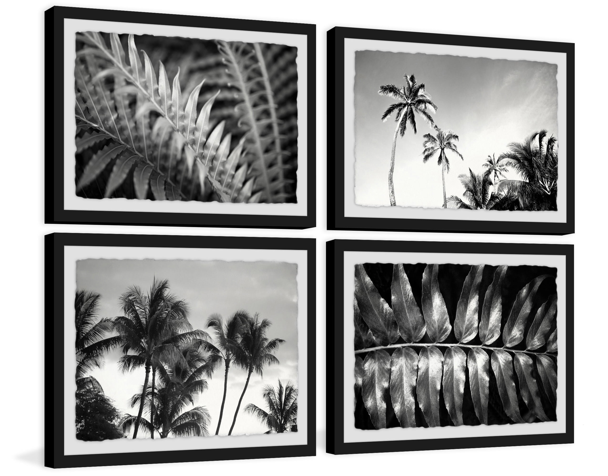 Palm Trees Quadriptych