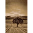 thumbnail image 1 of Marmont Hill "Lone Tree at Sunset" Painting Print on Canvas, 1 of 7