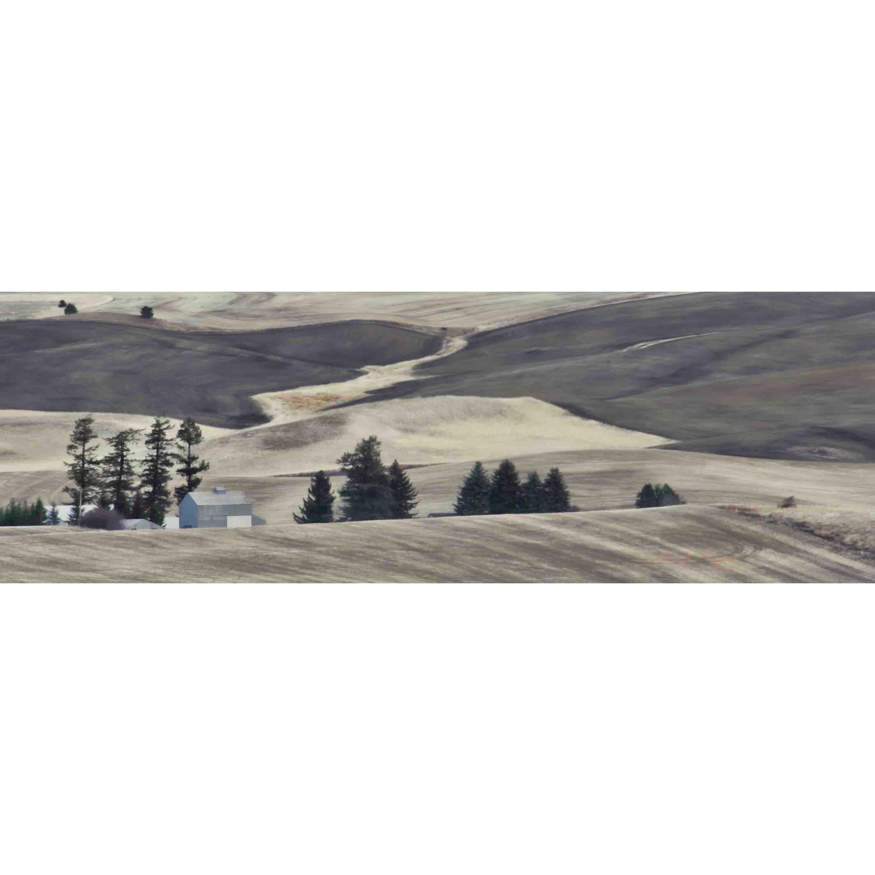 Idyllic Farm Gray Landscape Canvas Art Print