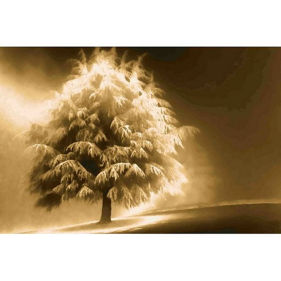 Marmont Hill Mh-Mww-Scwtz-27-C-30 20" X 30" "Enlightened Tree" Giclee Art Print On
