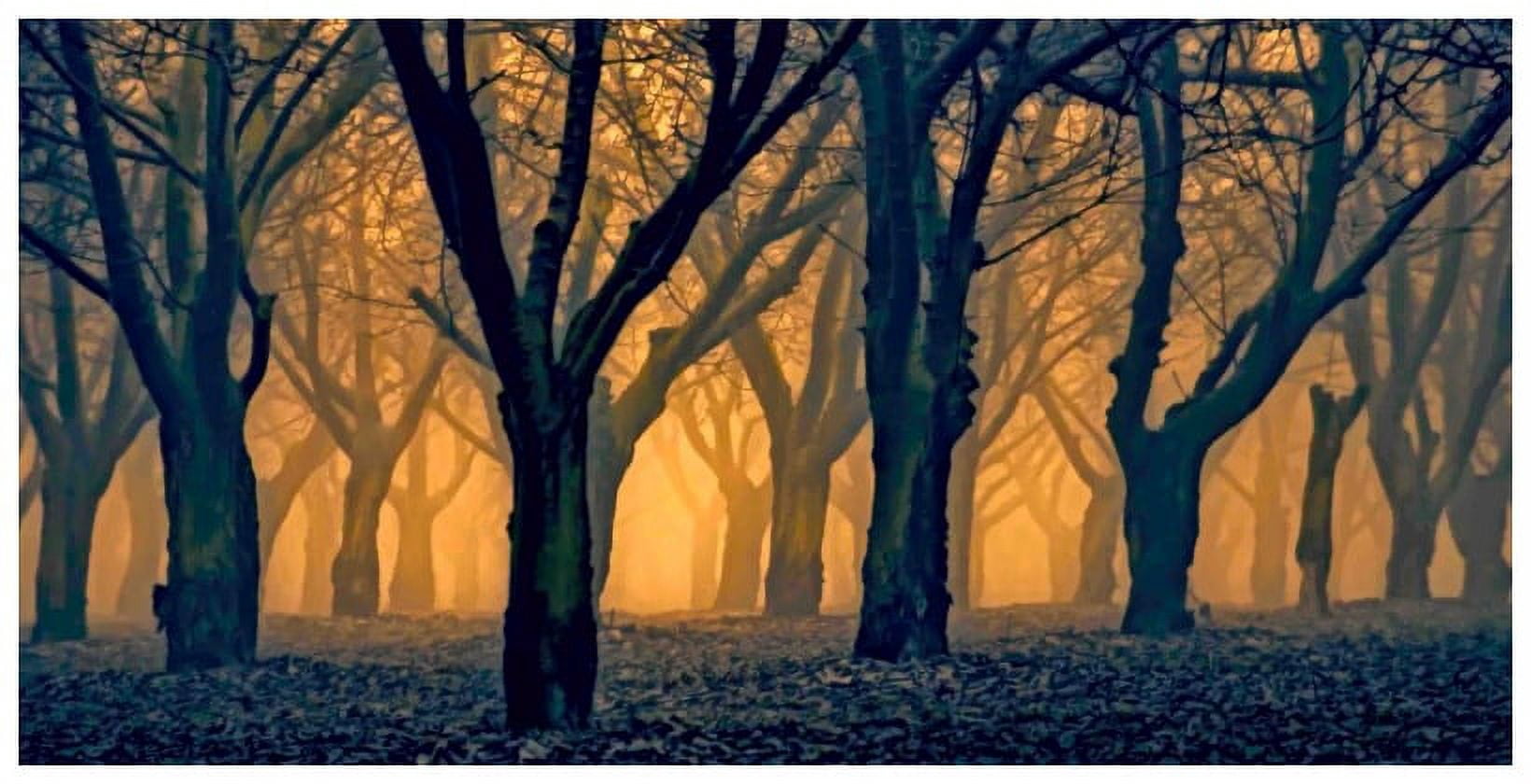 Marmont Hill Inc Marmont Hill - Woods Aglow Painting Print on Canvas - Multi-color
