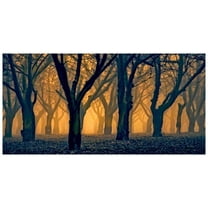 Marmont Hill Mh-Mww-Scwtz-45-C-36 18" X 36" "Woods Aglow" Giclee Art Print On Stretched