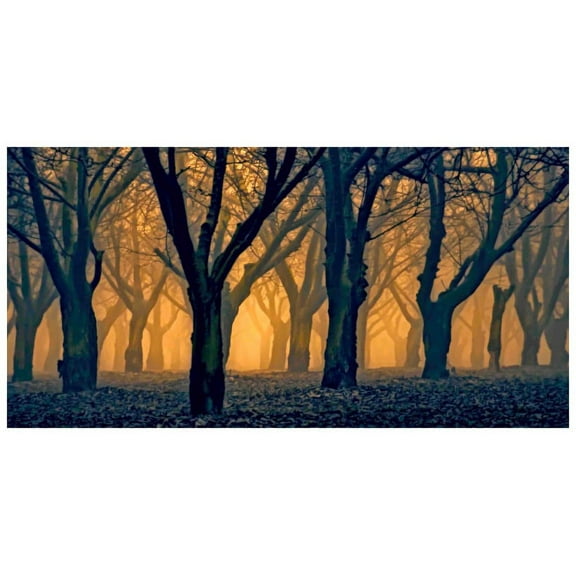 Marmont Hill Mh-Mww-Scwtz-45-C-36 18" X 36" "Woods Aglow" Giclee Art Print On Stretched