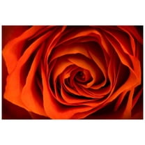 Marmont Hill Mh-Mww-Scwtz-55-C-24 16" X 24" "Inner Beauty" Giclee Art Print On Stretched