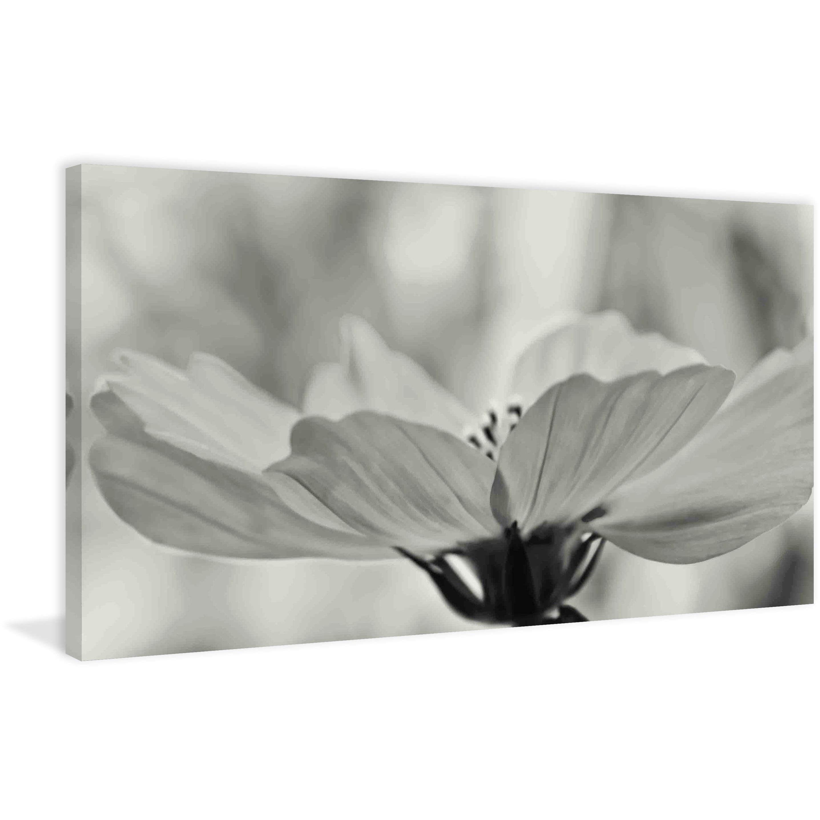 MARMONT HILL  - Delicate Cosmos Painting Print on Canvas - Multi-Color 45 x 22.5