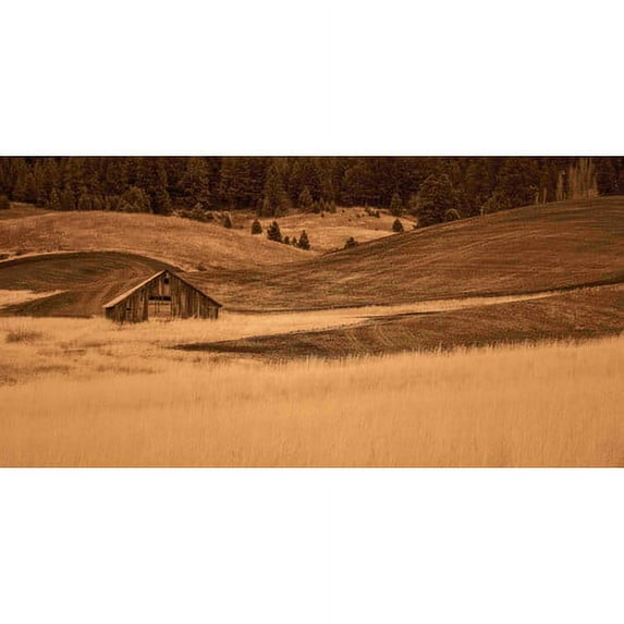 Marmont Hill Mh-Mww-Scwtz-85-C-24 12" X 24" "Brown Barn In The Blonde Grasses" Giclee Art