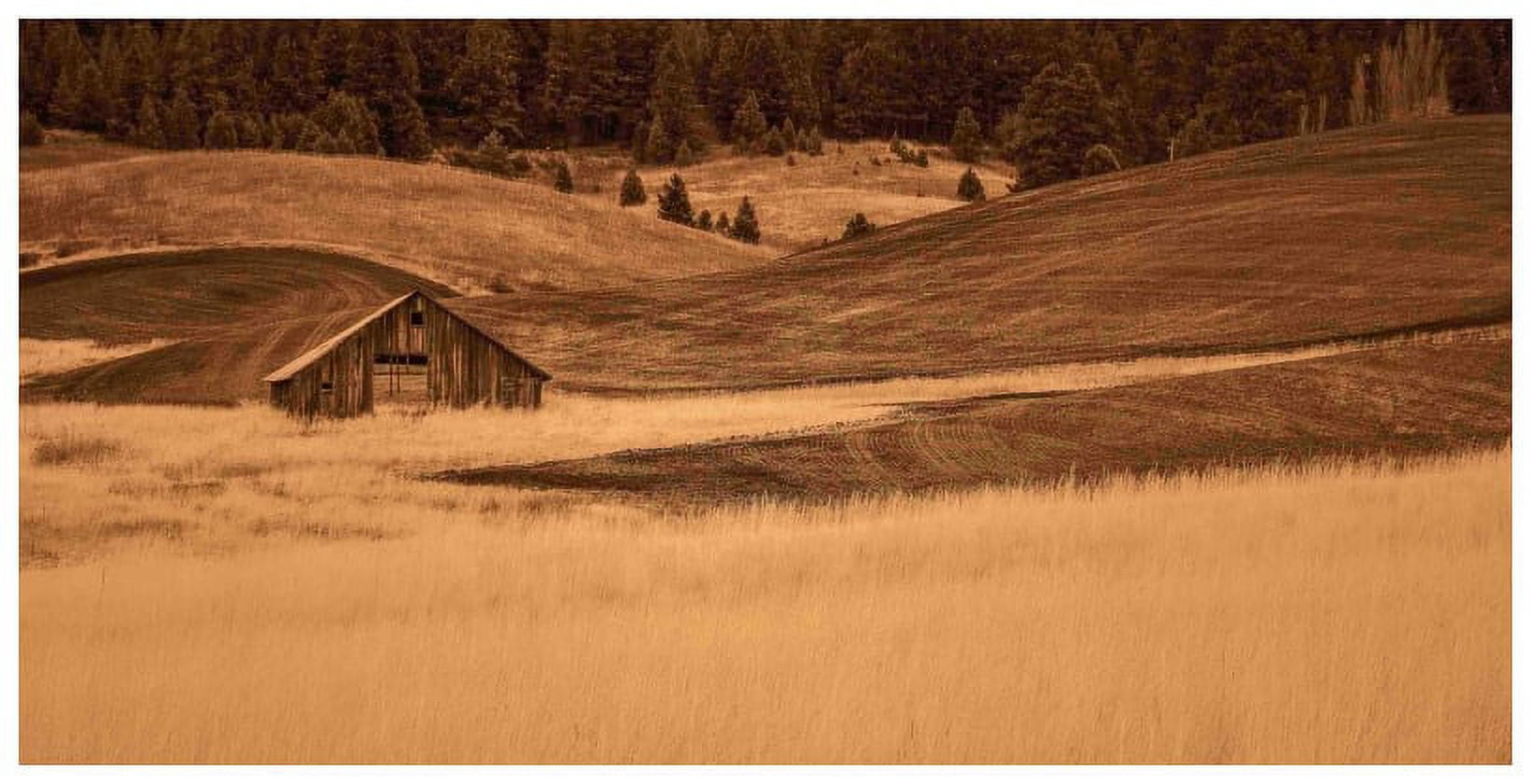 Marmont Hill Inc Marmont Hill - Brown Barn in the Blonde Grasses Painting Print on Canvas - Multi-color