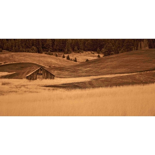 Marmont Hill Inc Marmont Hill - Brown Barn in the Blonde Grasses Painting Print on Canvas - Multi-color