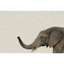 Marmont Hill Mh-Pekabo-8834-Cdl-12 8" X 12"