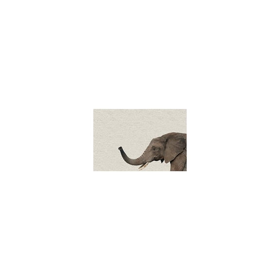 Side Elephant Painting Print on Wrapped Canvas