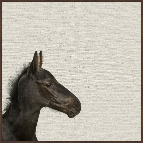 Marmont Hill Mh-Pekabo-8851-Dwffdl-12 12" X 12"