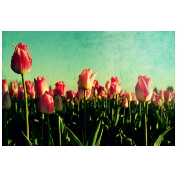 Marmont Hill Mh-Robdic-113-C-30 20" X 30" "How Does Your Garden Grow" Giclee Art Print On