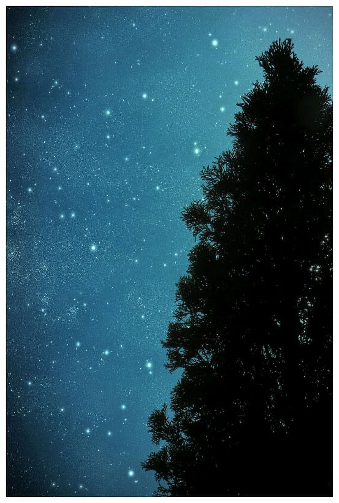 Marmont Hill "Star Light" by Robert Dickinson Painting Print on Canvas