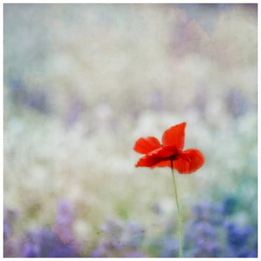 Marmont Hill Mh-Robdic-50-C-18 18" X 18" "Dream On 2" Giclee Art Print On Stretched Canvas