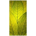 thumbnail image 1 of Marmont Hill Mh-Robdic-61-C-24 24" X 12" "Every Leaf A Flower" Giclee Art Print On, 1 of 7