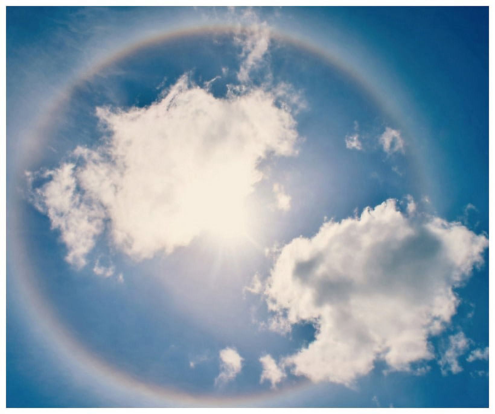 Marmont Hill "Halo" by Robert Dickinson Painting Print on Canvas