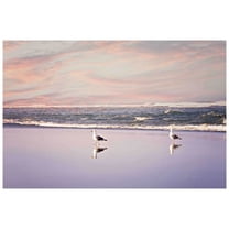 Marmont Hill Mh-Syck-01-C-30 20" X 30" "2 Seagulls" Giclee Art Print On Stretched Canvas