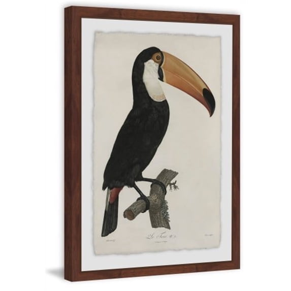 Quiet Toucan Framed Painting Print