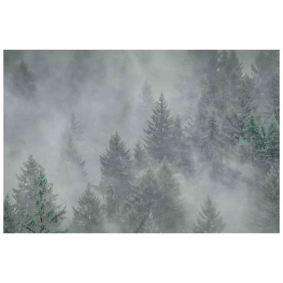 Marmont Hill "Misty Mood" Painting Print on Canvas