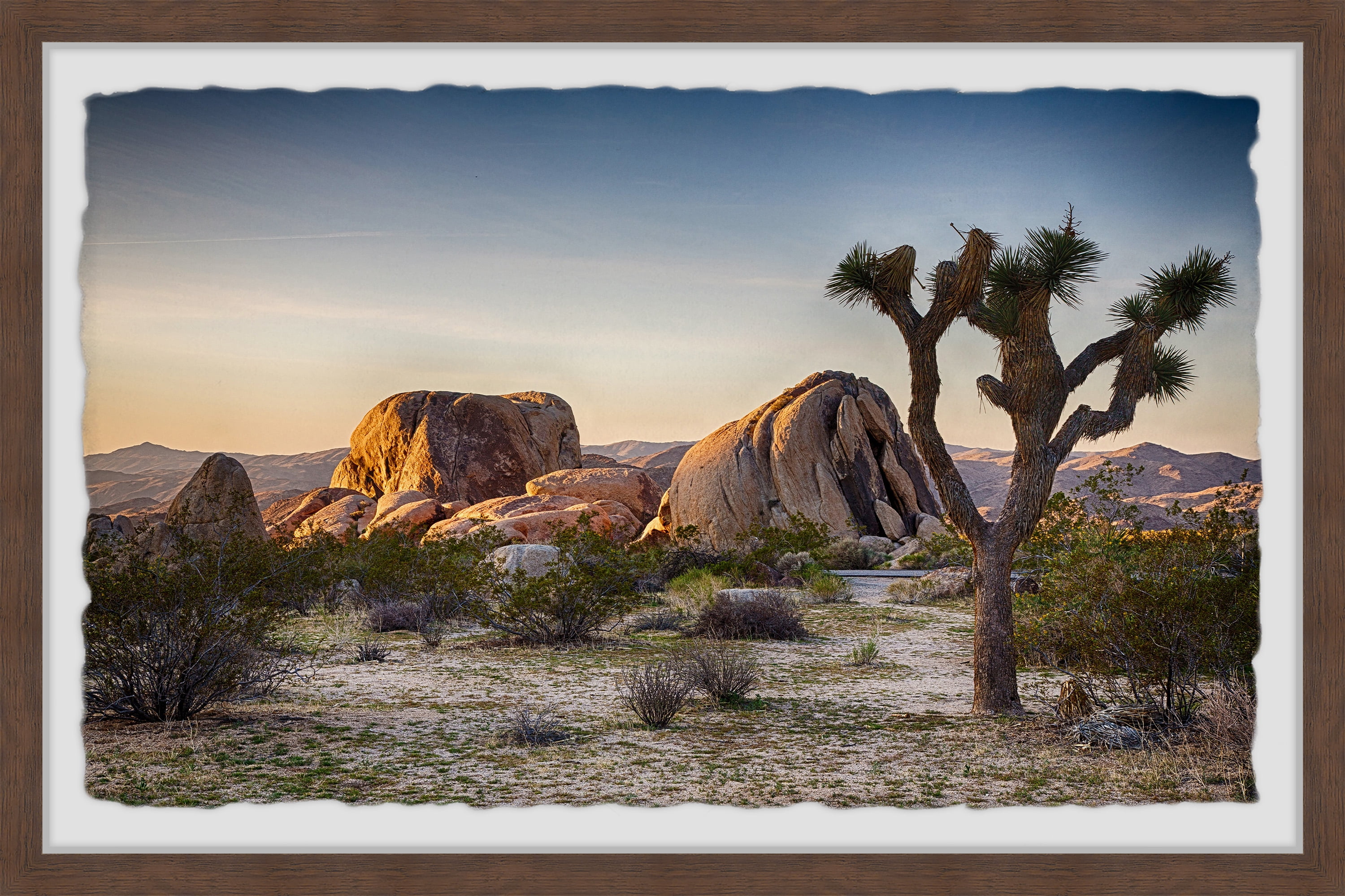 Mojave Desert Landscape Framed Wall Art, 16" x 24"