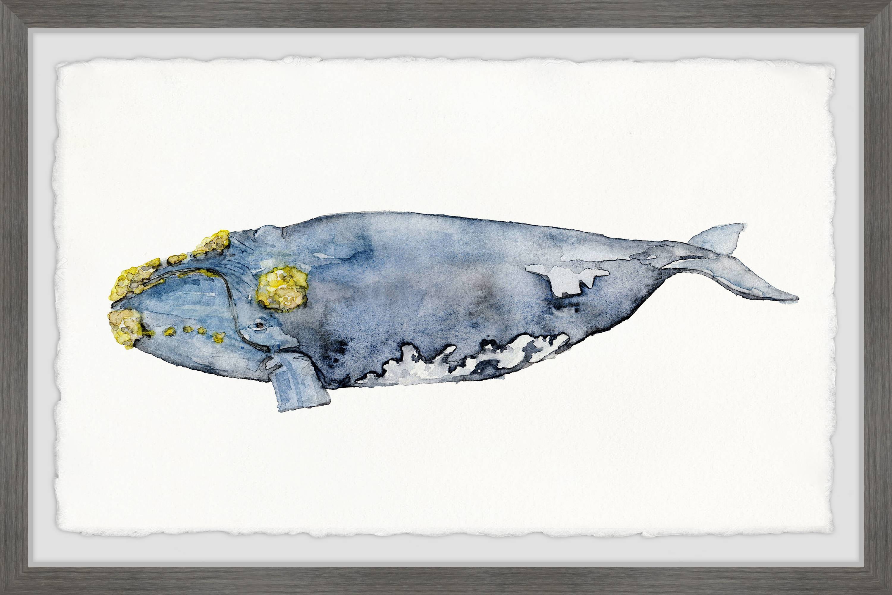 Marmont Hill Mossed Whale by Rachel Byler Framed Wall Art