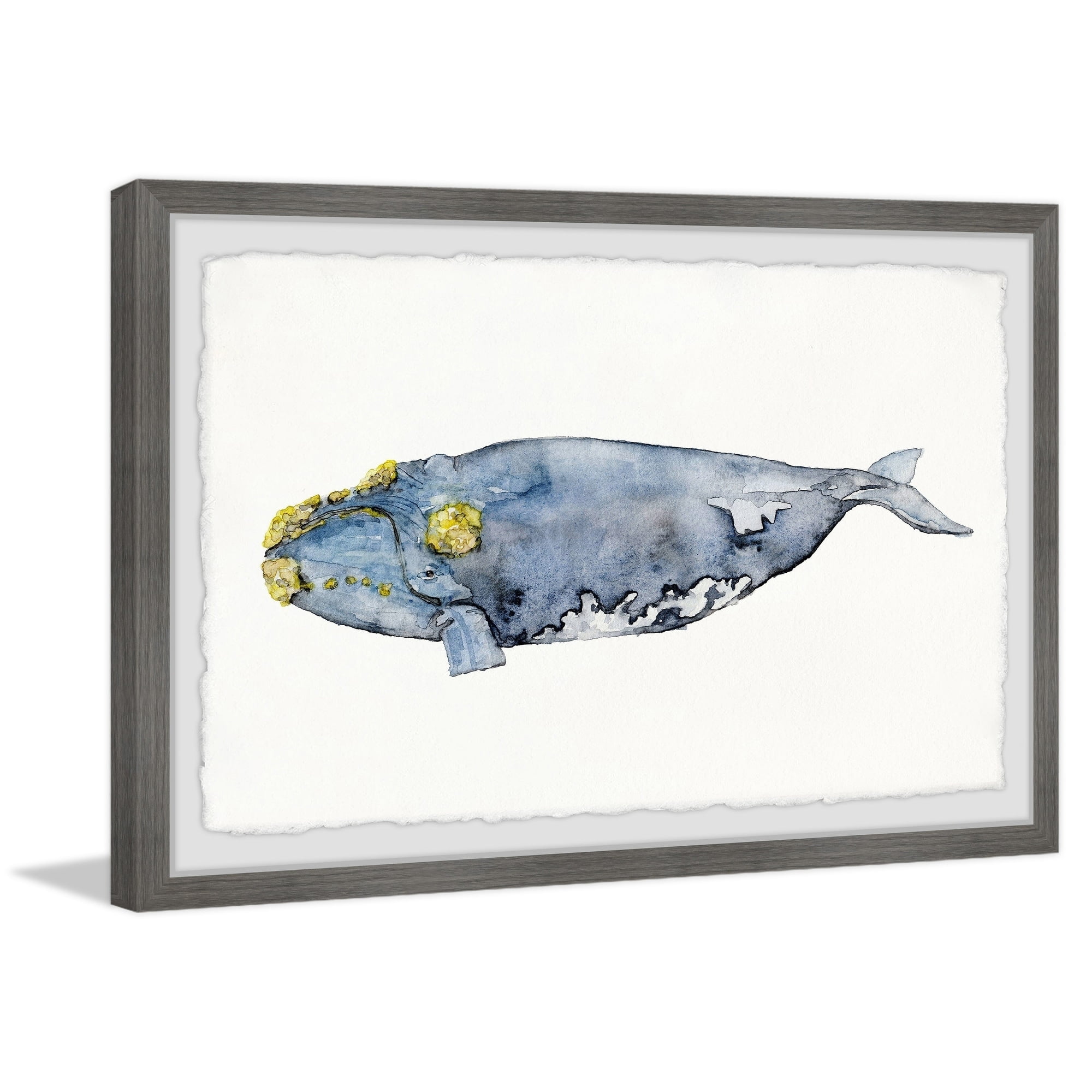 Marmont Hill Mossed Whale by Rachel Byler Framed Wall Art
