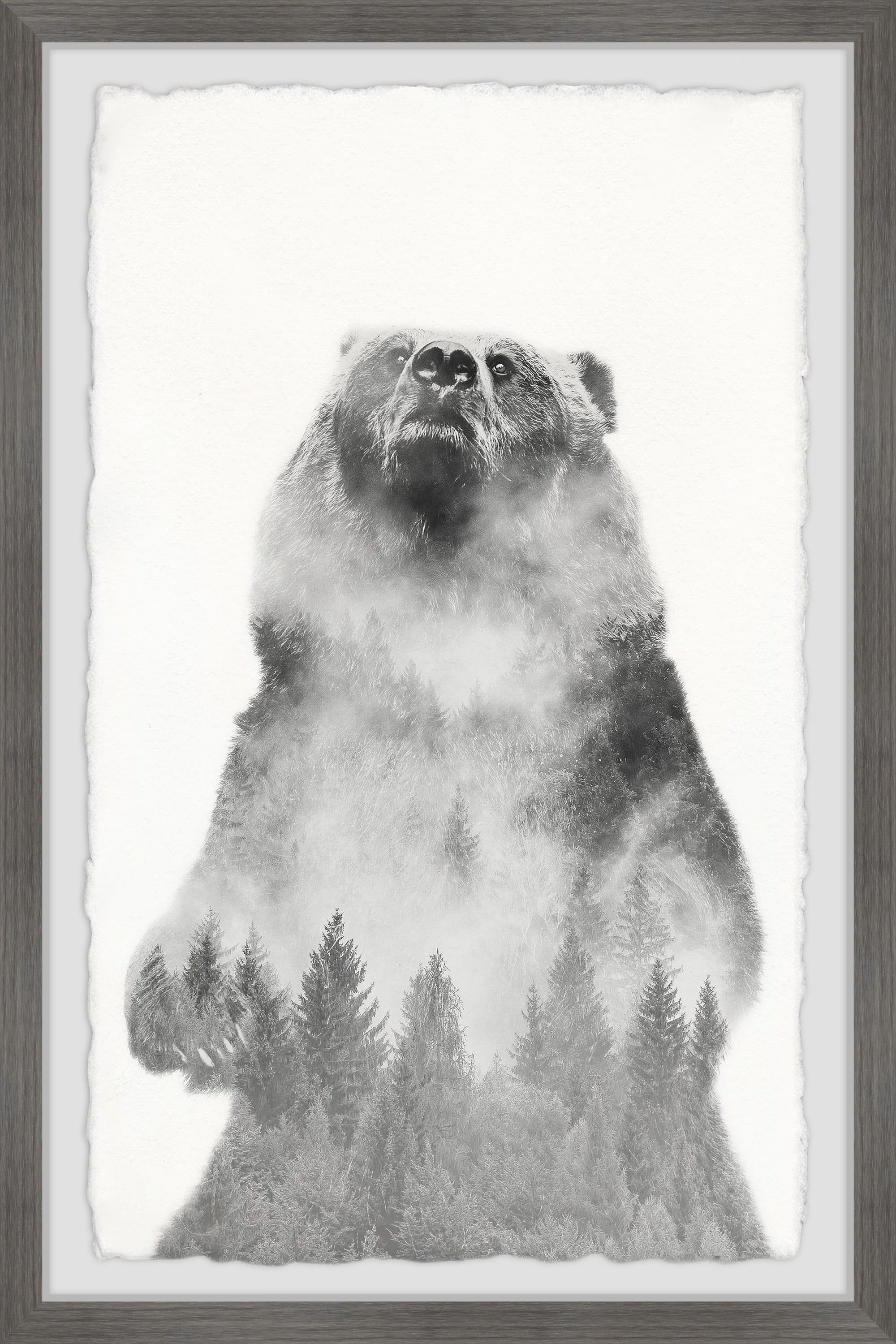 Gray Framed Wall Art with Bear and Pine Forest Overlay