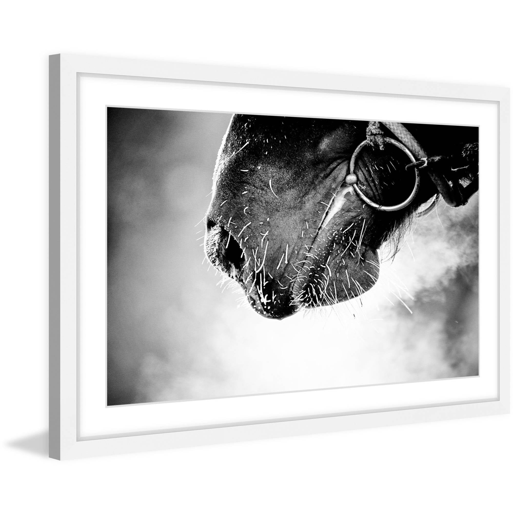 Marmont Hill "Muzzle" Framed Painting Print
