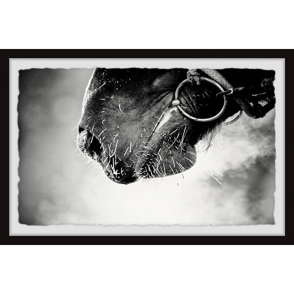 Marmont Hill Muzzle Framed Wall Art