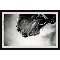Marmont Hill Muzzle Framed Wall Art