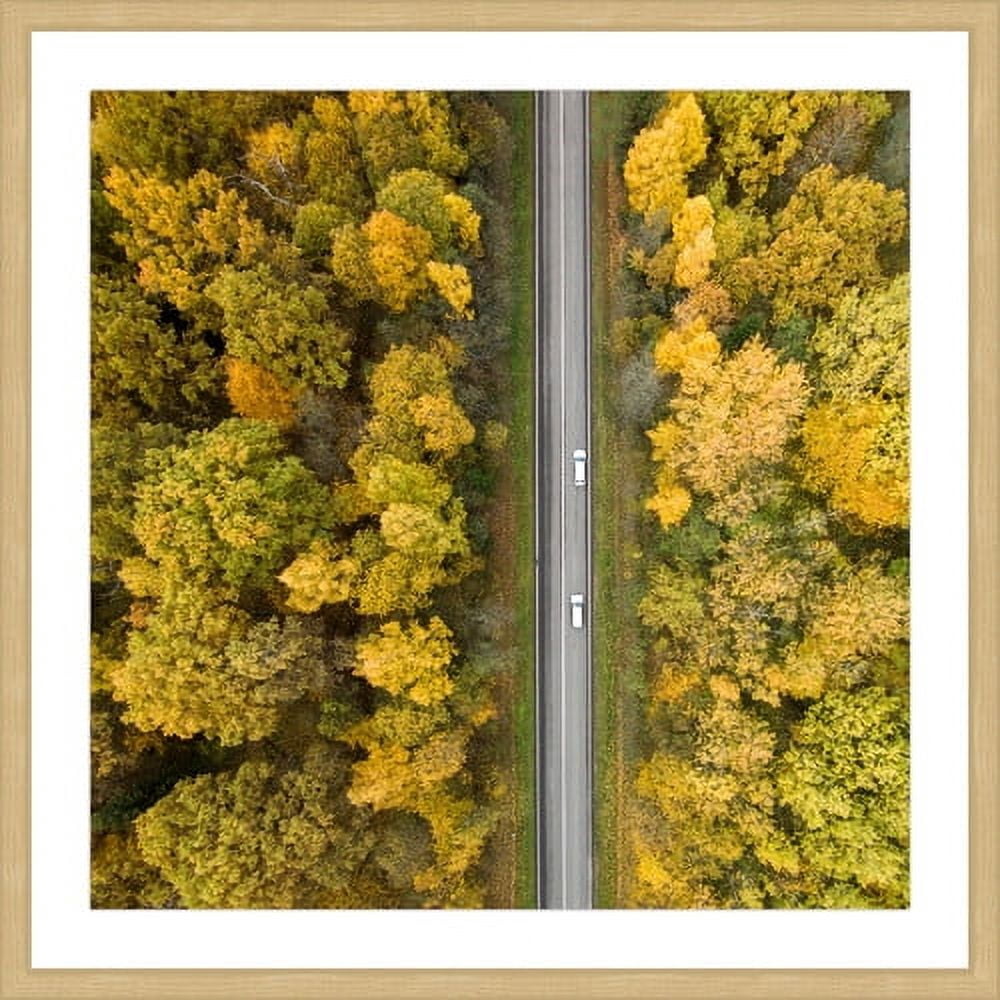 Marmont Hill "Nature Road" By Karolis Janulis Framed Painting Art Print, 32.0" x 1.5"