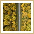 thumbnail image 1 of Marmont Hill "Nature Road" By Karolis Janulis Framed Painting Art Print, 32.0" x 1.5", 1 of 5