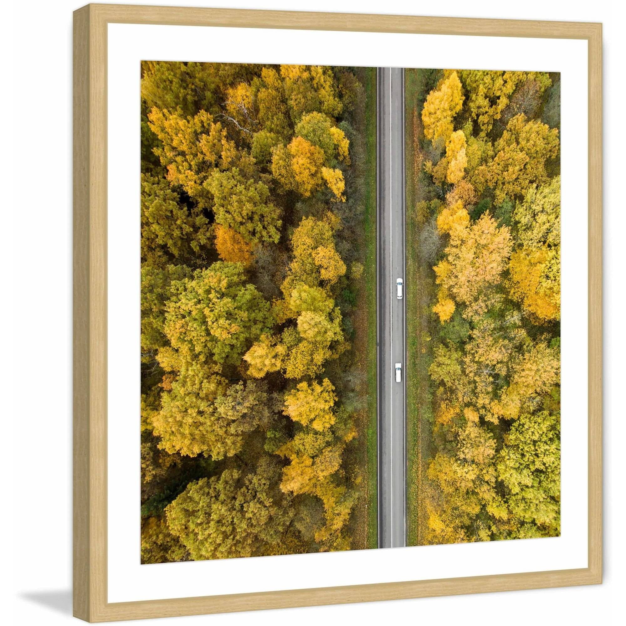 Marmont Hill "Nature Road" by Karolis Janulis Framed Painting Print