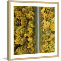 Marmont Hill "Nature Road" by Karolis Janulis Framed Painting Print