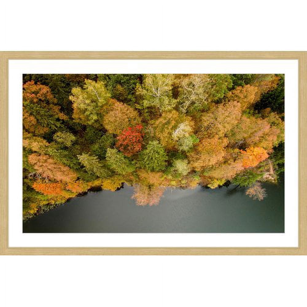 Marmont Hill "Natures Flora" By Karolis Janulis Framed Painting Art Print, 18.0" x 1.5"
