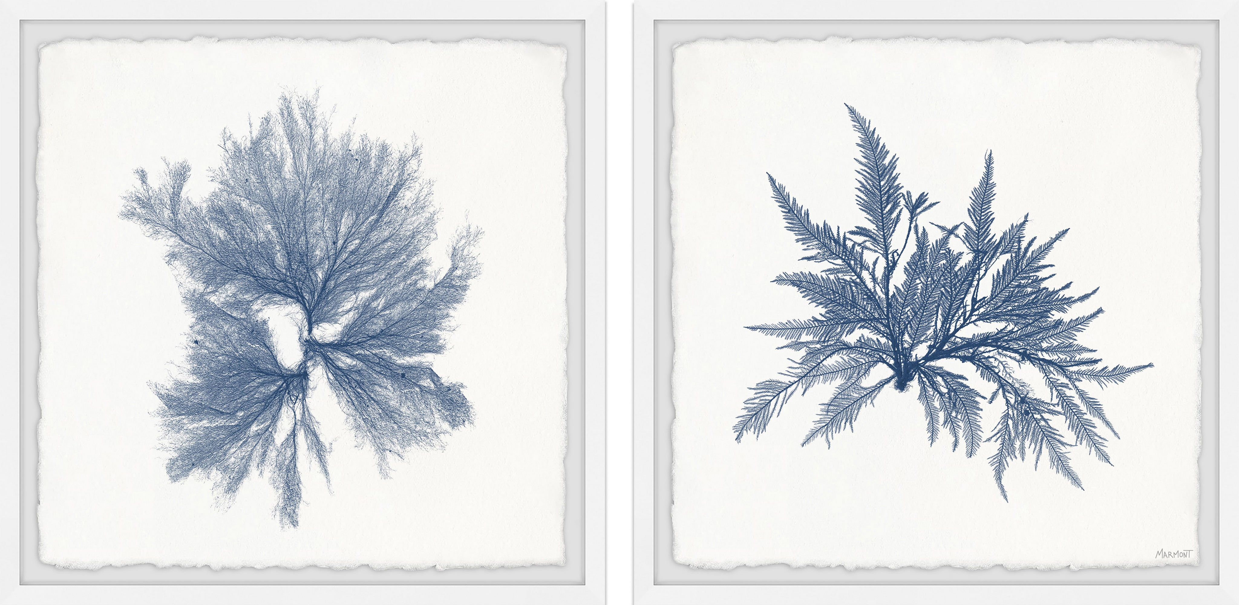 Marmont Hill Navy Sea Weed VI Diptych