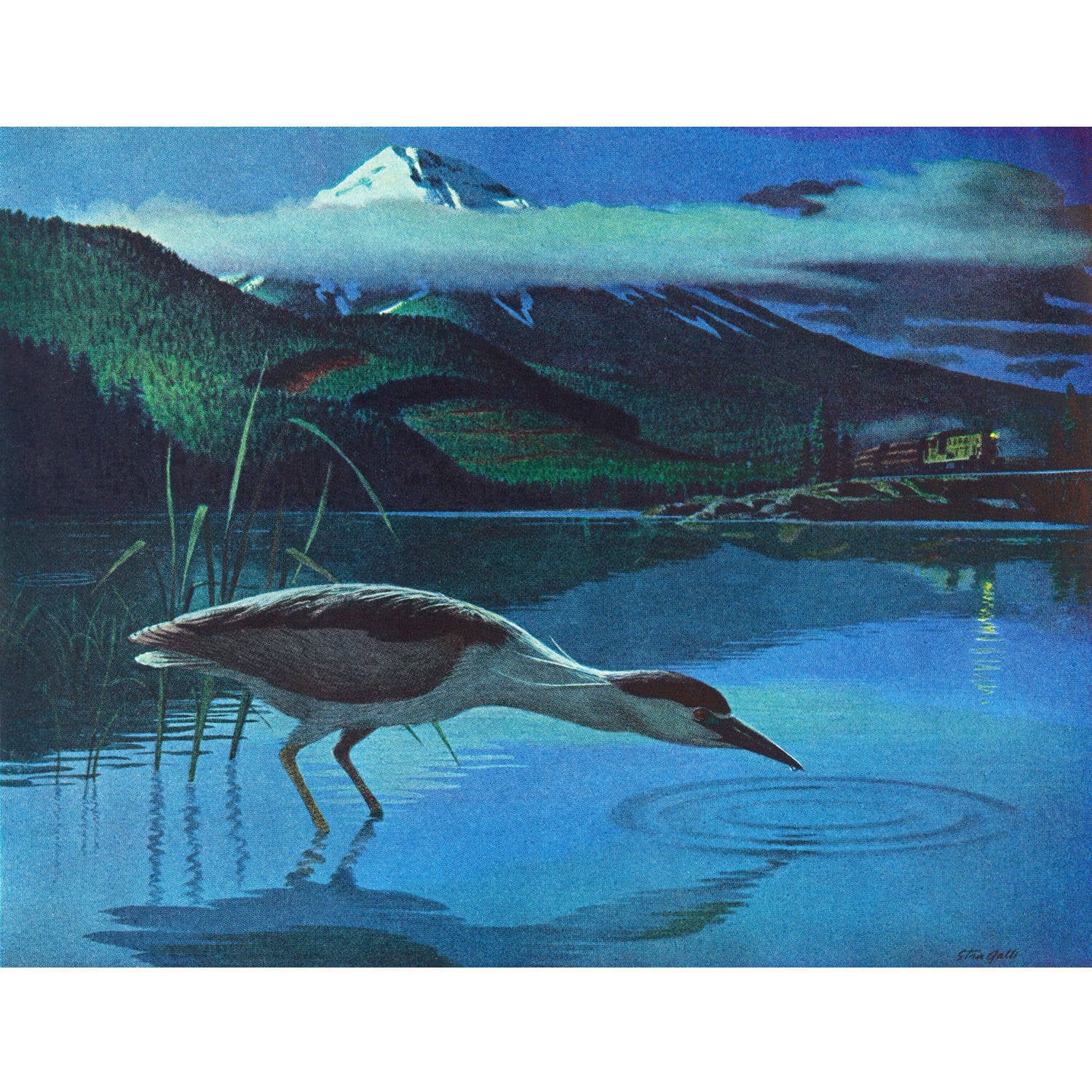 Marmont Hill "Night Heron" Painting Print on Wrapped Canvas