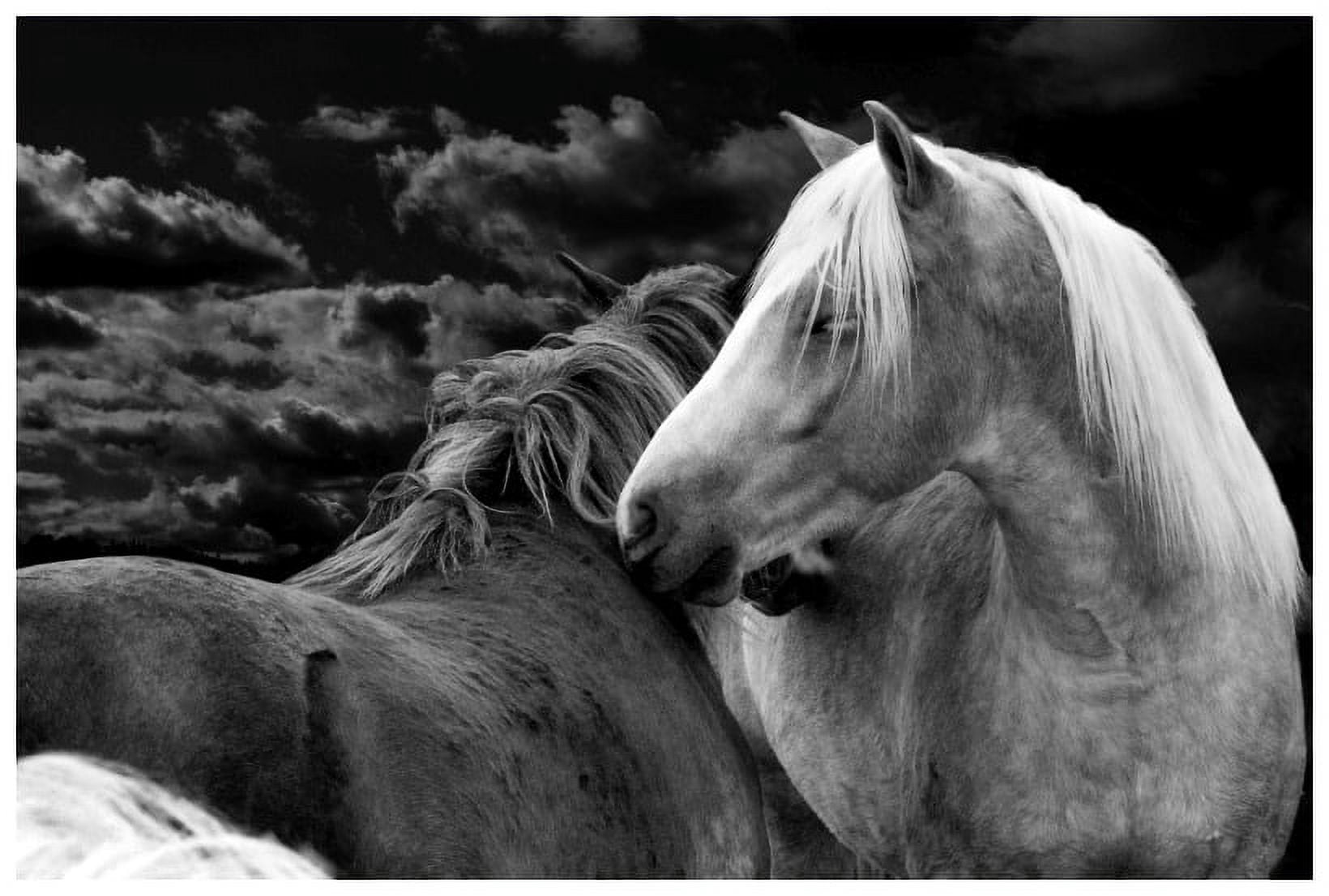 Marmont Hill "Night Love" by Maggie Dee Painting Print on Canvas