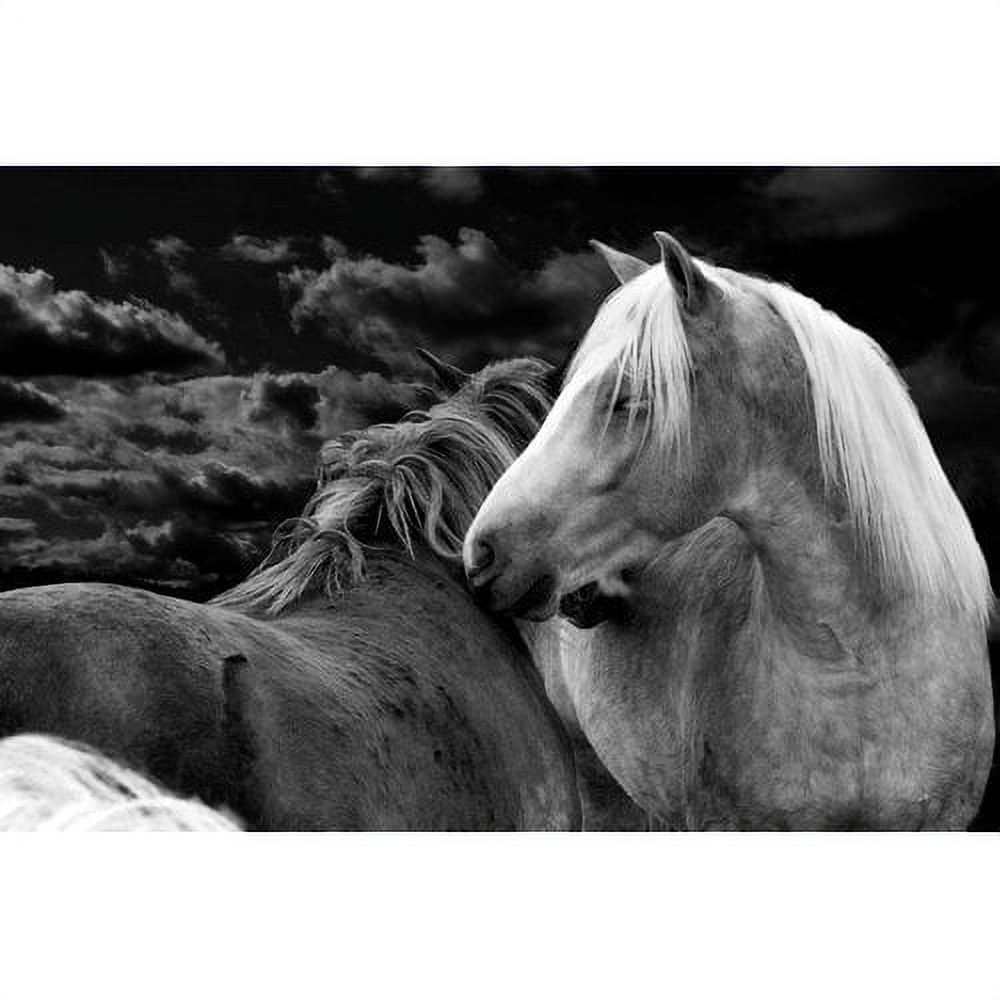 Marmont Hill "Night Love" by Maggie Dee Painting Print on Canvas