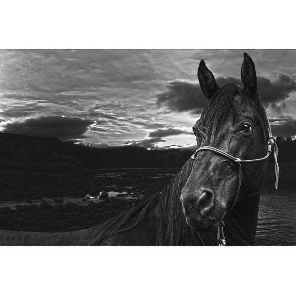 Marmont Hill "Nightwatch" by Maggie Dee Painting Print on Canvas