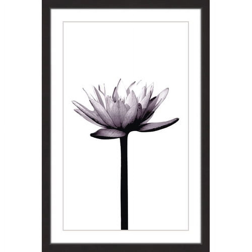 Marmont Hill "Opened Petals" by Katarina Snygg Framed Painting Print
