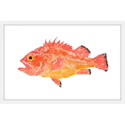 Large Framed Orange Spiney Fish Canvas Print