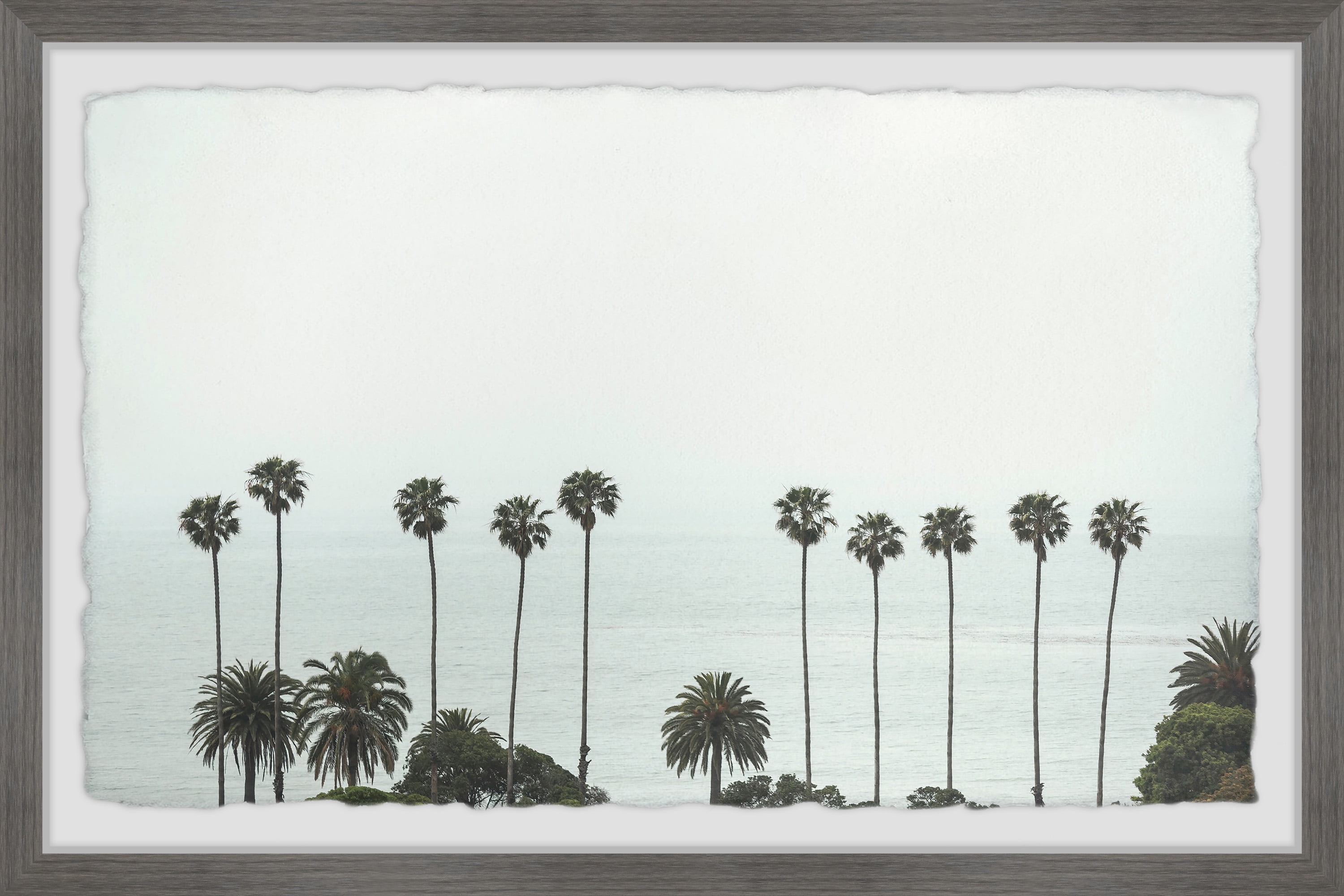 Gray Framed Tropical Palm Trees Nature Print, 8" x 12"