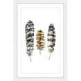 thumbnail image 1 of Marmont Hill "Owl Feathers" by Rachel Byler Framed Painting Print, 1 of 5