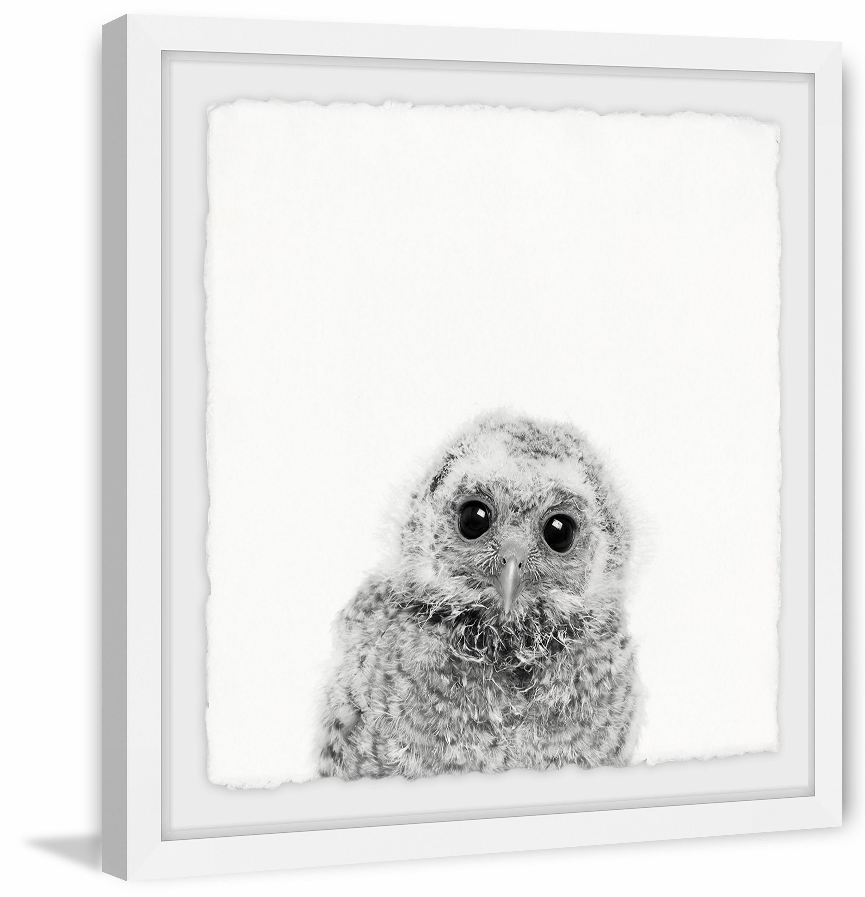 20" x 20" Gray and White Owl Framed Canvas Print