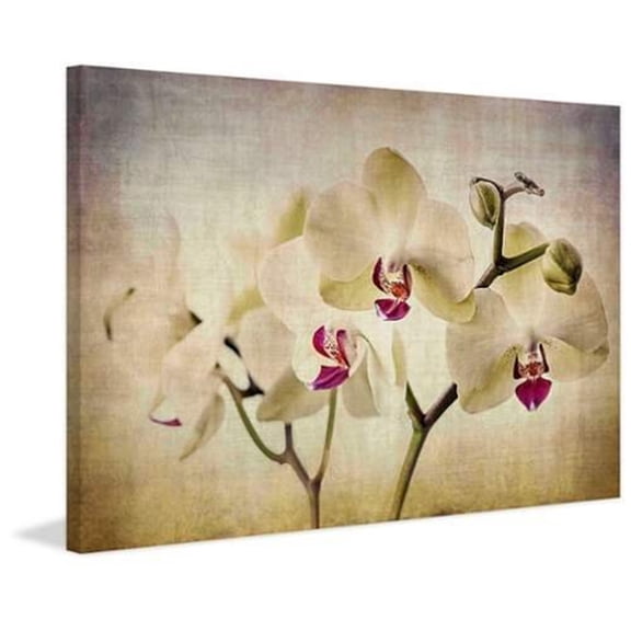 Marmont Hill "Pale Orchids Wide" by Malek Painting Print on Wrapped Canvas