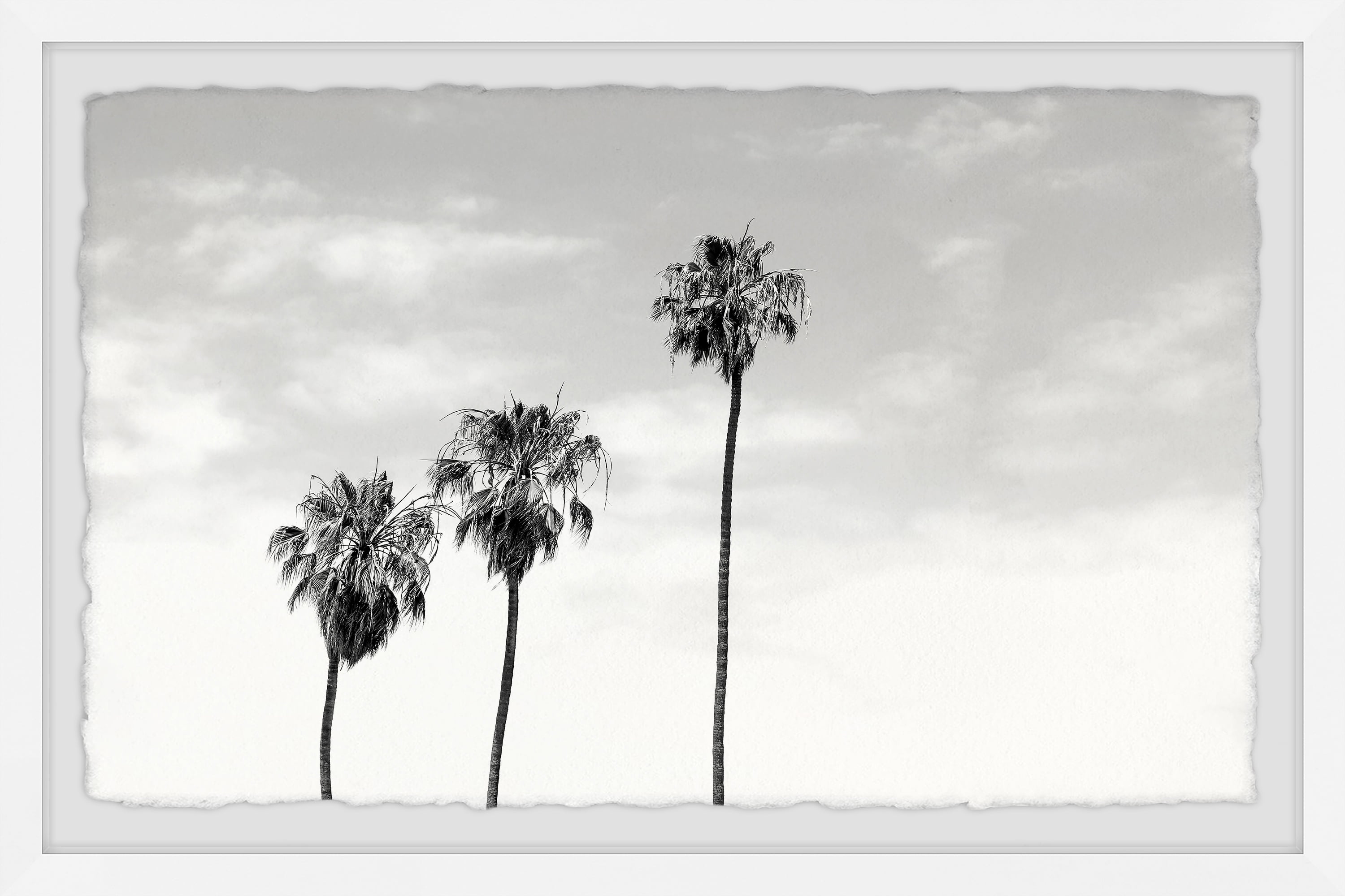 Marmont Hill Palm Trees View Framed Wall Art