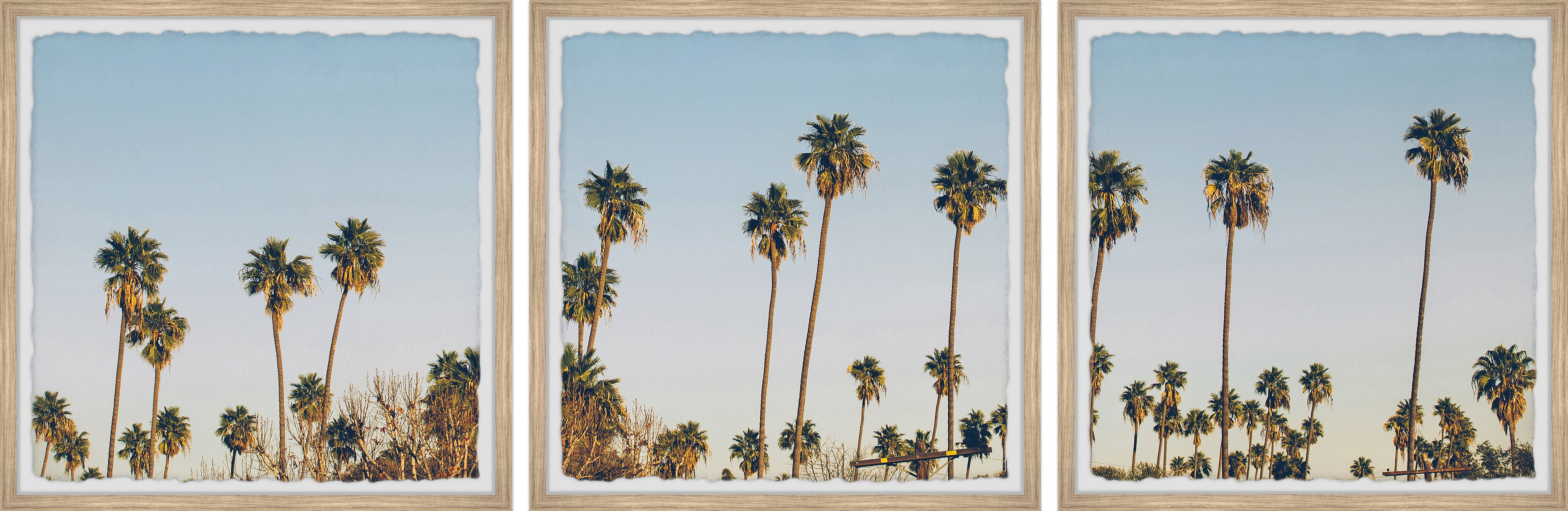 Marmont Hill Palms Sunrise Triptych