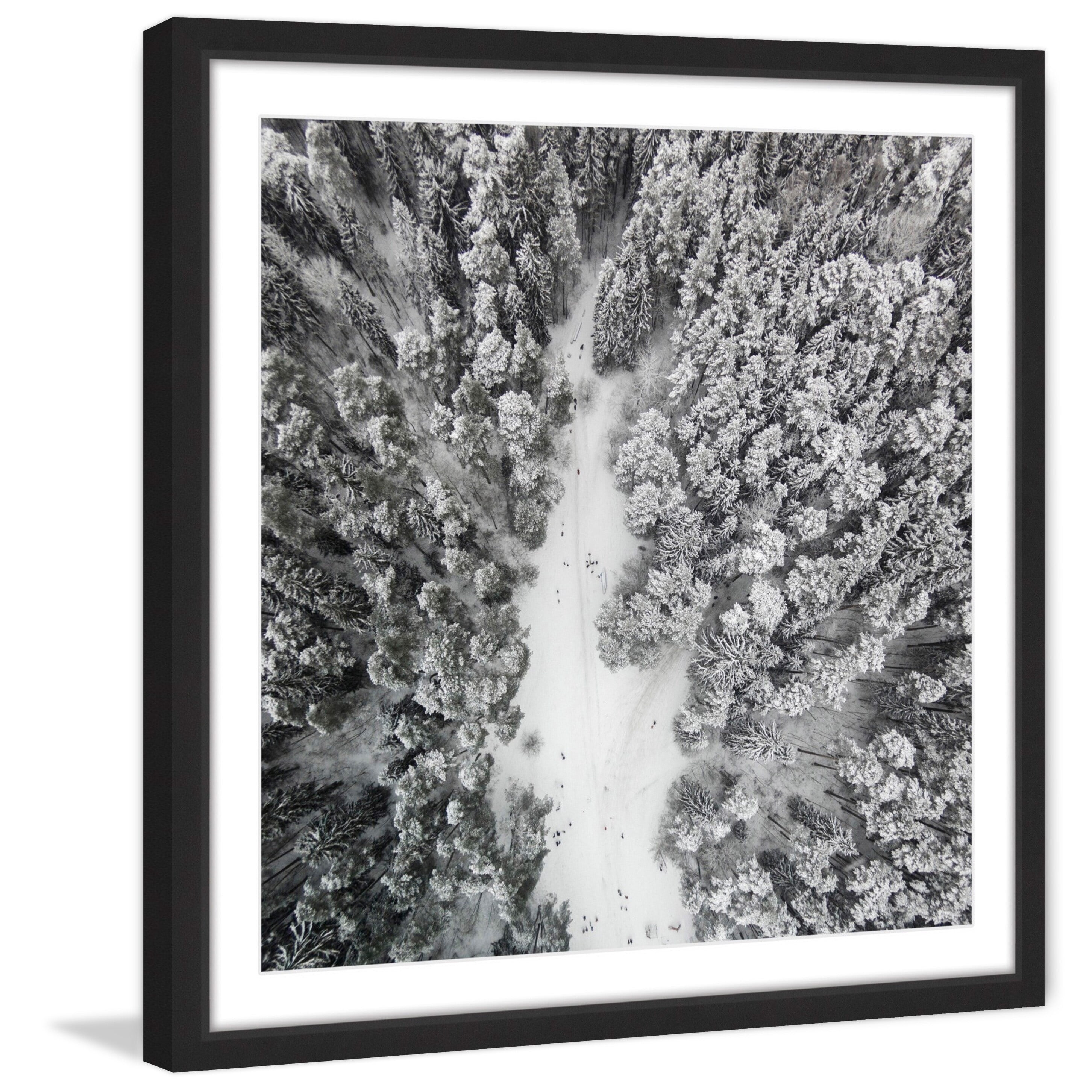 Marmont Hill "Path Among Giants" By Karolis Janulis Framed Painting Art Print, 18.0" x 1.5"