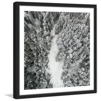 Marmont Hill "Path Among Giants" By Karolis Janulis Framed Painting Art Print, 18.0" x 1.5"